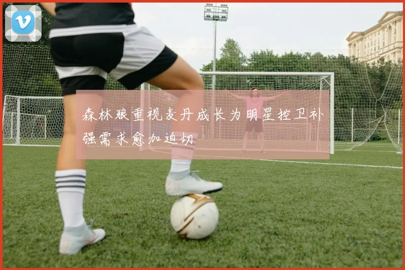 森林狼重视麦丹成长为明星控卫补强需求愈加迫切